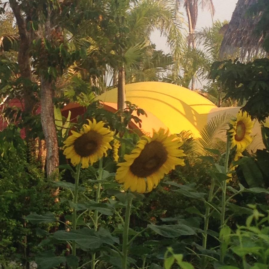 Pakasai Resort Nua Klong Ban Nua Khlong 외부 사진